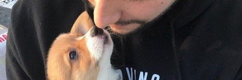 mikec7000's profile banner image