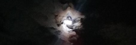 lilimotion's profile banner image