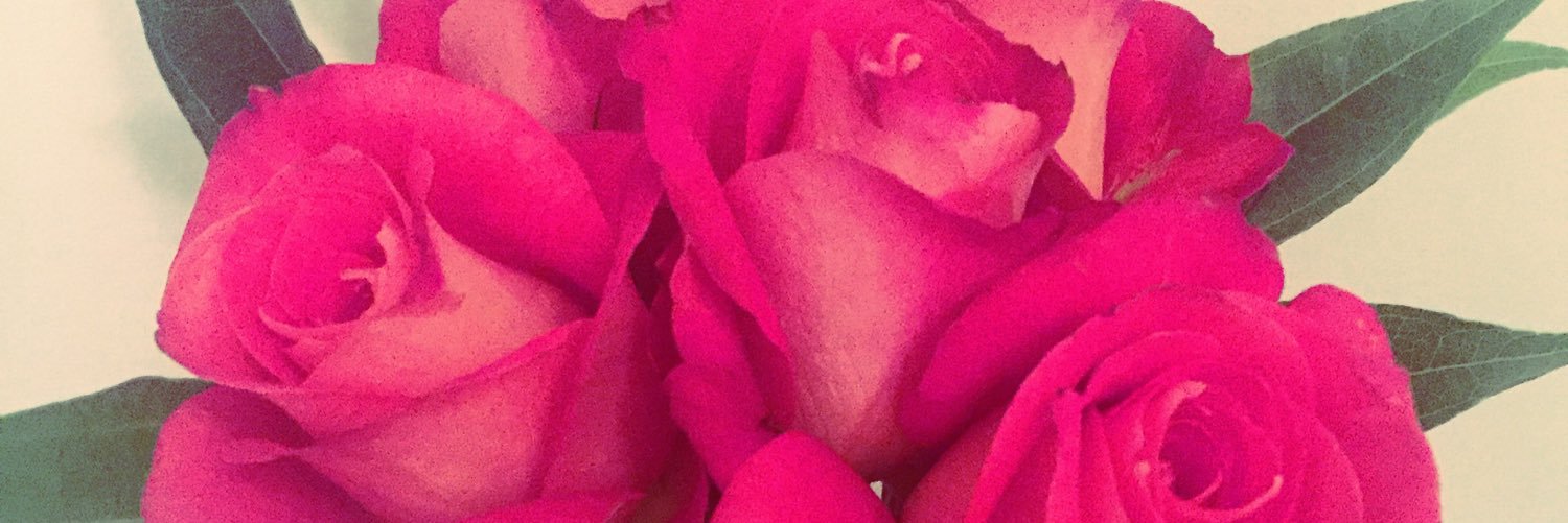 maggiemfowler's profile banner image