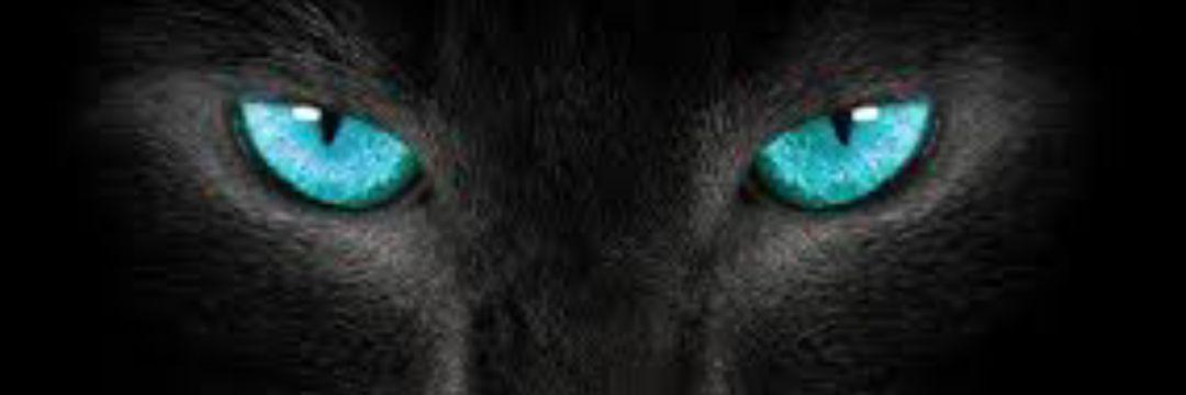 vampirehello1's profile banner image