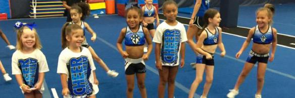 CA_TwinkleCats's profile banner image