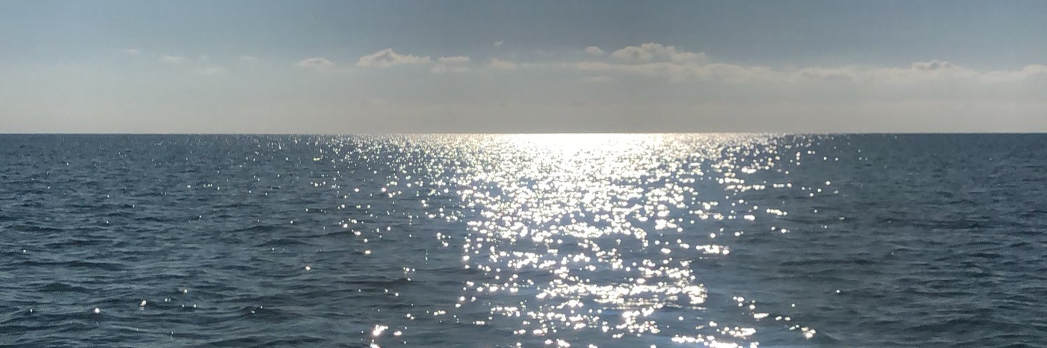 _LostSoull's profile banner image