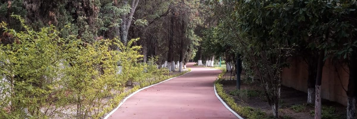 PuertadeH's profile banner image