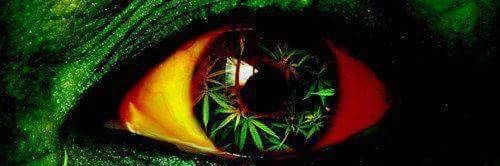 markinho_bronks's profile banner image