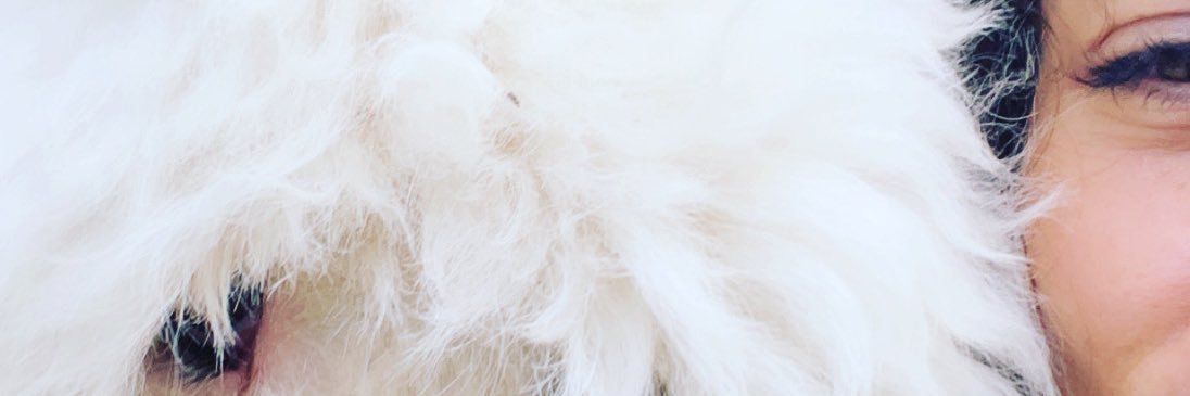 AddyLayseca's profile banner image