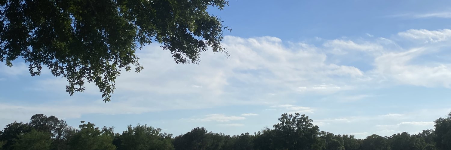 msfionaa's profile banner image
