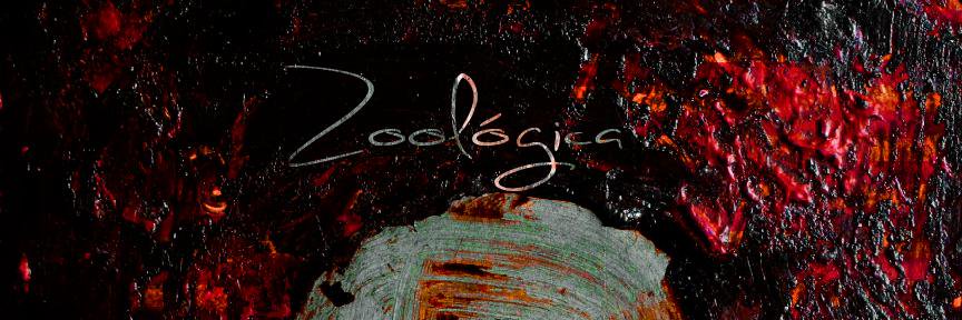 zoologicabanda's profile banner image