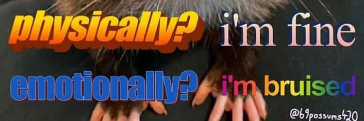 CaptainSadnes's profile banner image