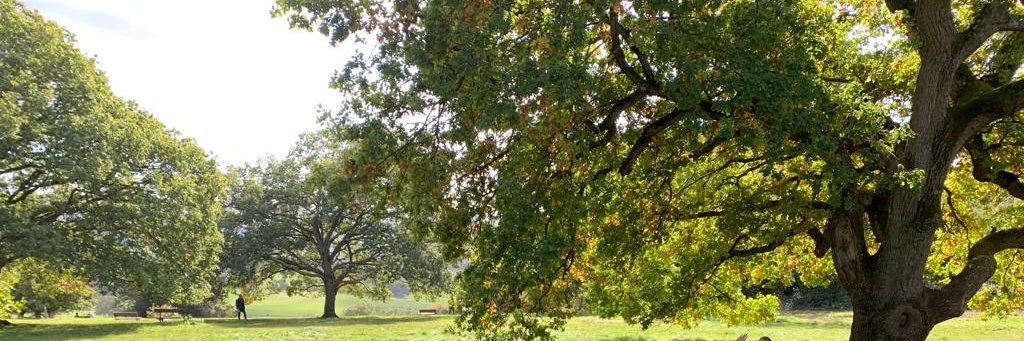 Natural England Thames Solent banner