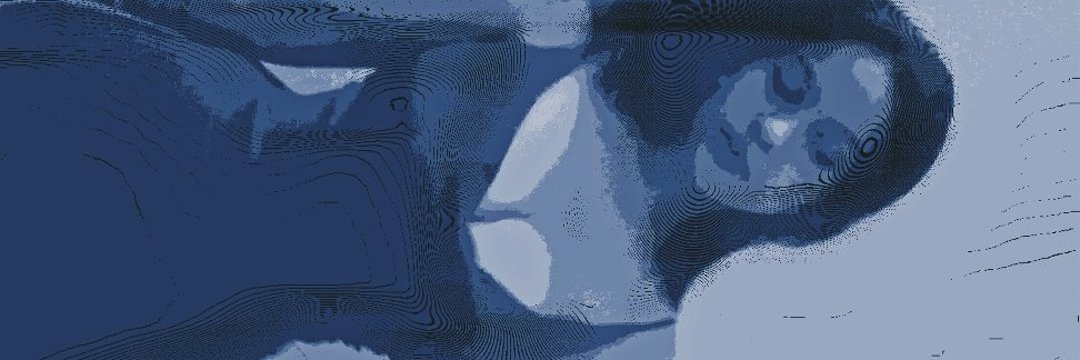 sophia banner