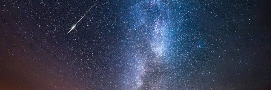 augus_rib's profile banner image