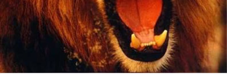 AslanBagsever's profile banner image
