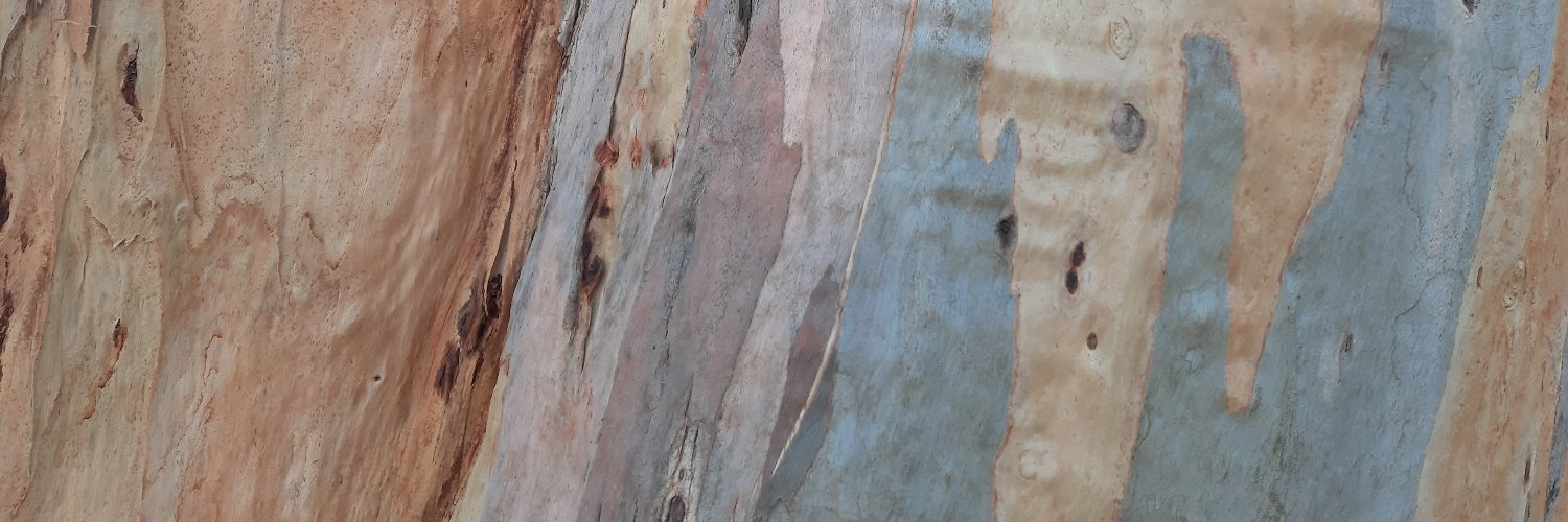 Maria Helena Saari banner