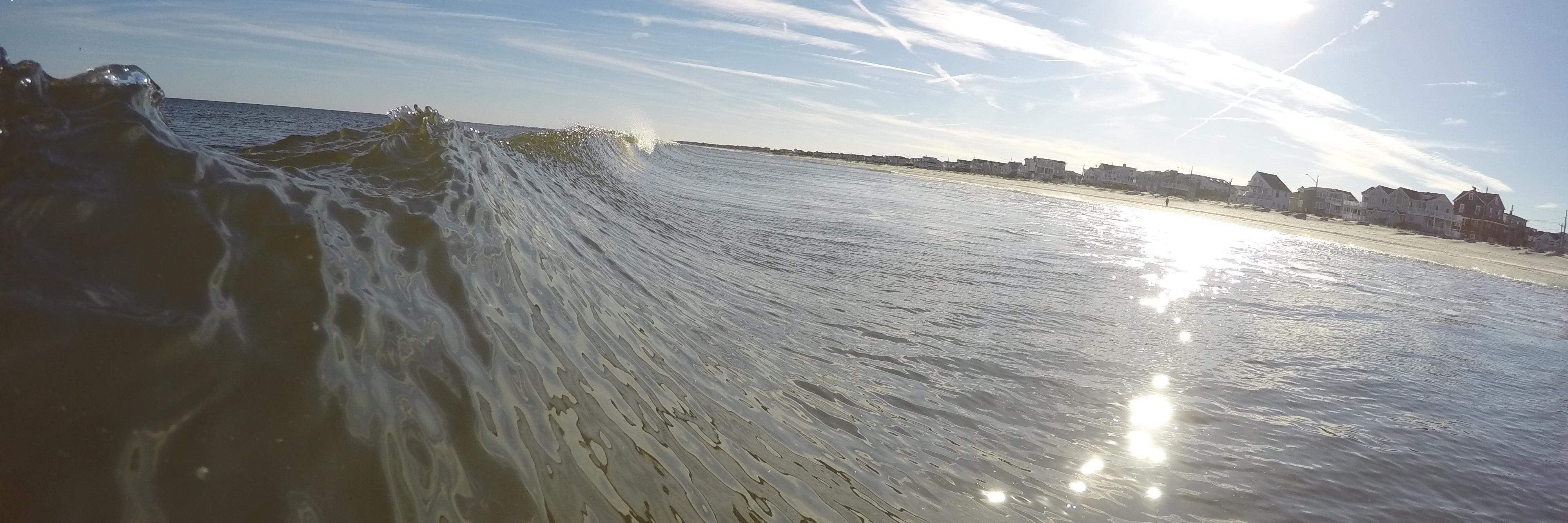 typical_surfer's profile banner image