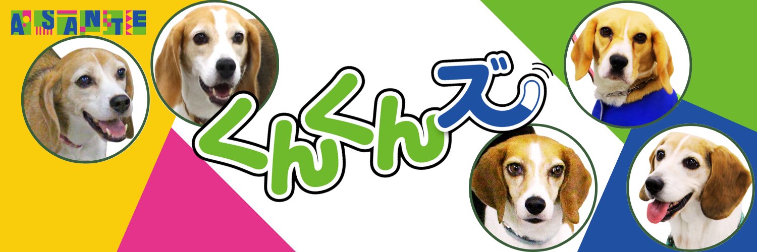 シロアリ探知犬ノア@アサンテ【公式】 banner
