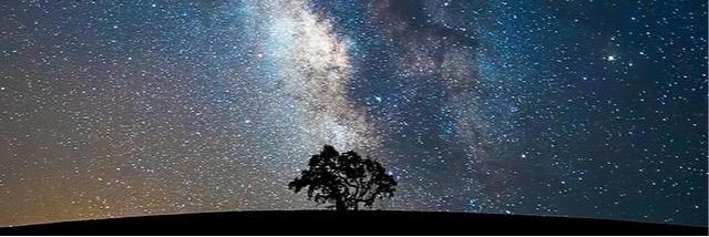LiftedEgo's profile banner image