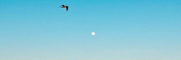 mikefloRBG Profile Banner