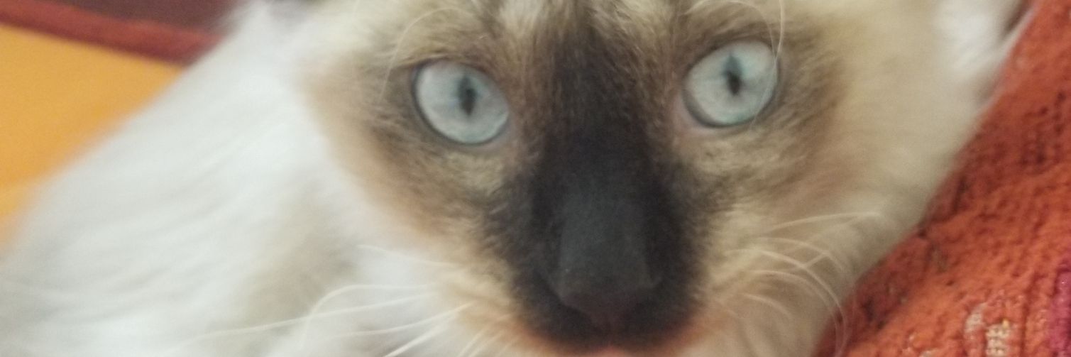 رأي 👈 إسماعيل 🤷‍♂️ banner