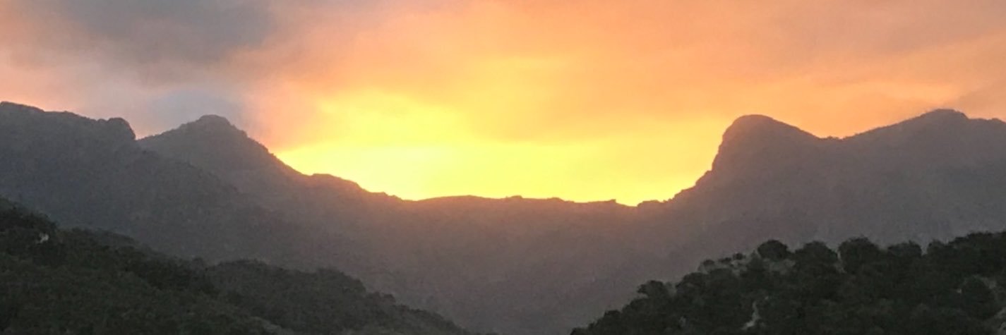 OfficialMKrall's profile banner image