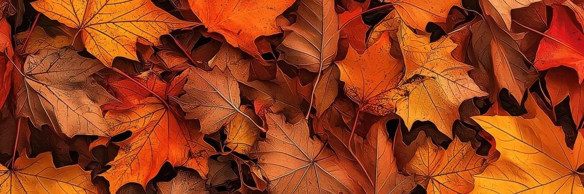 etel__'s profile banner image