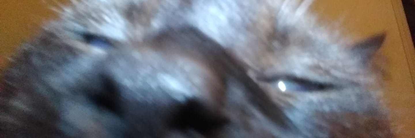 Kennydwag's profile banner image