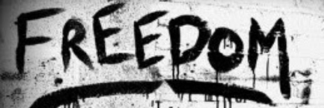 FreedomDenmark's profile banner image