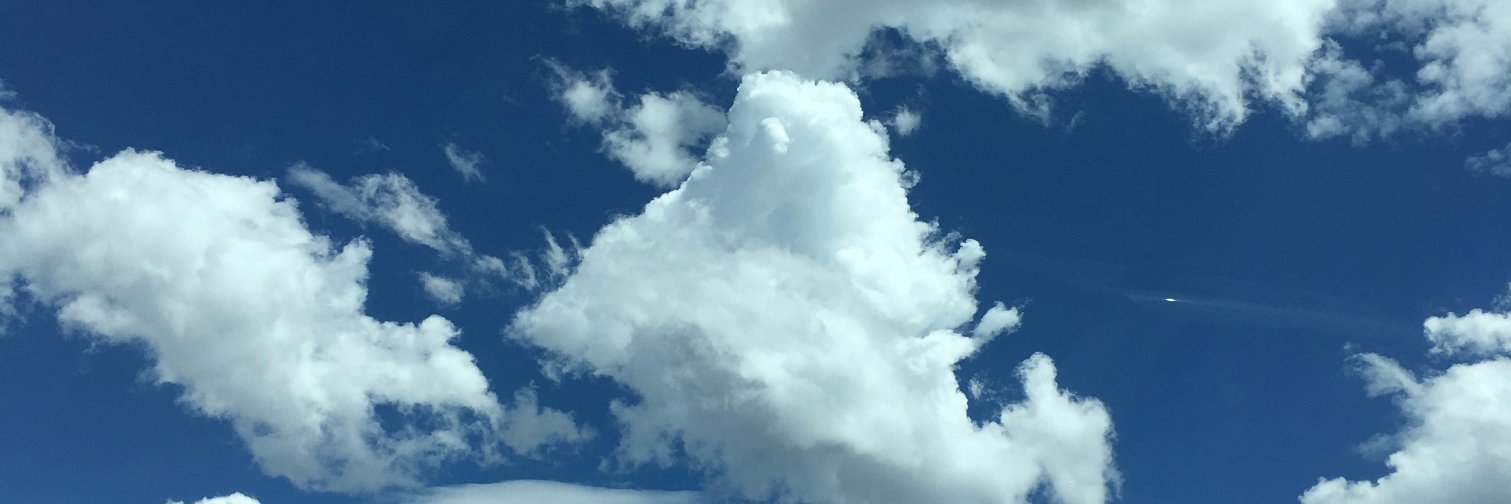 debscott5's profile banner image