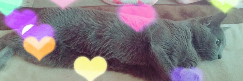 🎀Rika🎀 banner