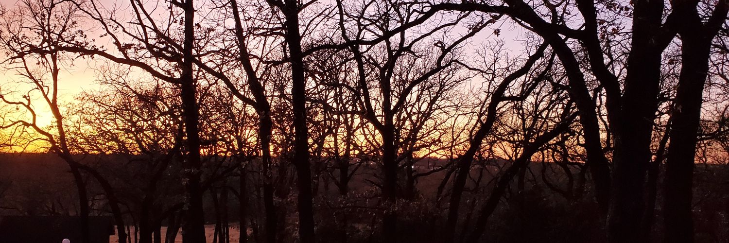 Heather Alambarrio banner