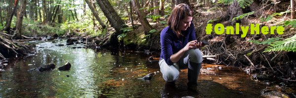 UNBForEM Profile Banner