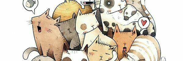 แอล.ไอ.เอ็น 🐶🐻‍❄️ banner