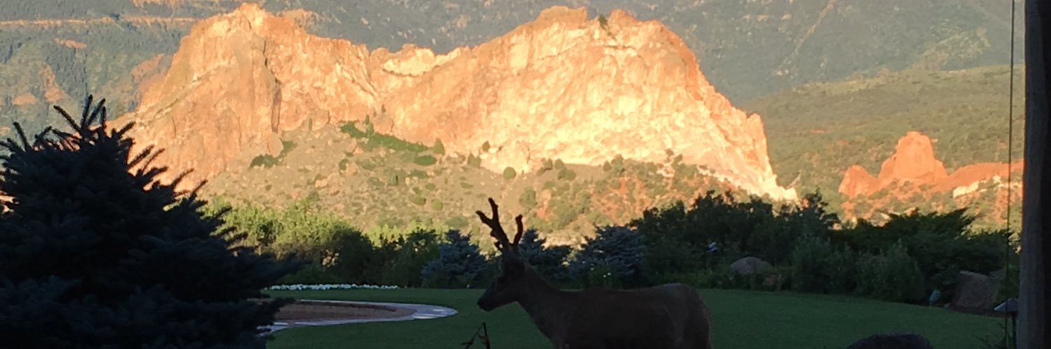 ReggieAsh3's profile banner image
