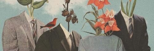 SedefSevgi's profile banner image