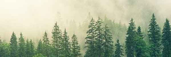 TheirFans2015 Profile Banner