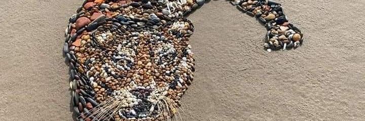 maageni's profile banner image