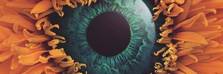 noozdeck27's profile banner image