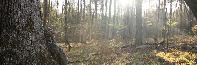 joejacobi3's profile banner image
