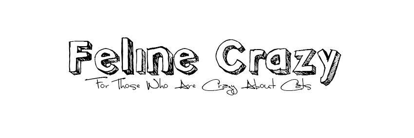 feline_crazy's profile banner image