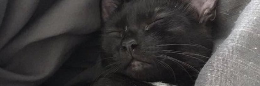 Britkneee_14's profile banner image