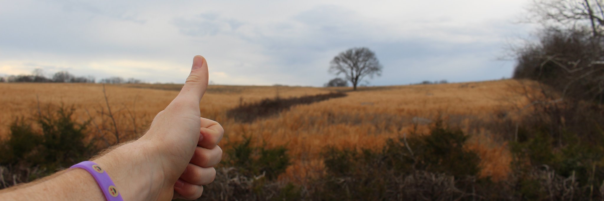 CrishenCamel's profile banner image