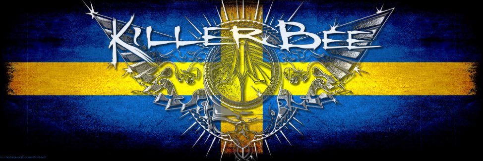 KillerBeeBand1's profile banner image