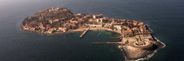 domougoree's profile banner image