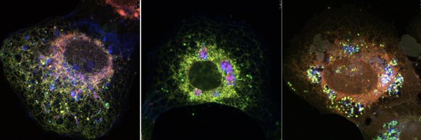 amosliang2 Profile Banner