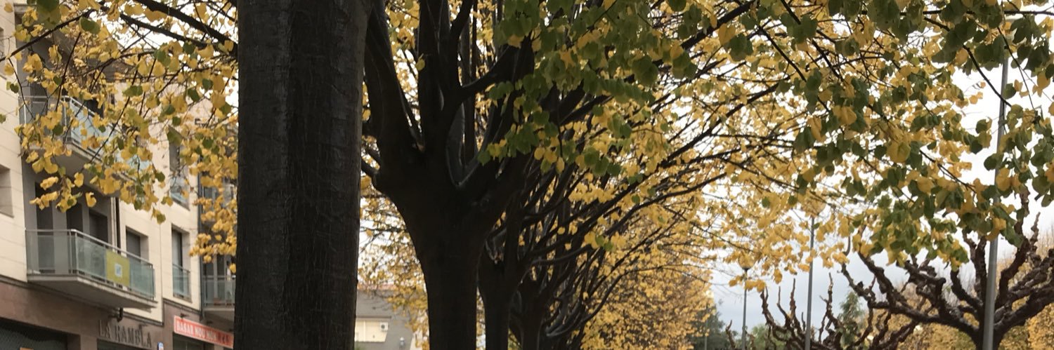 marlesribas's profile banner image
