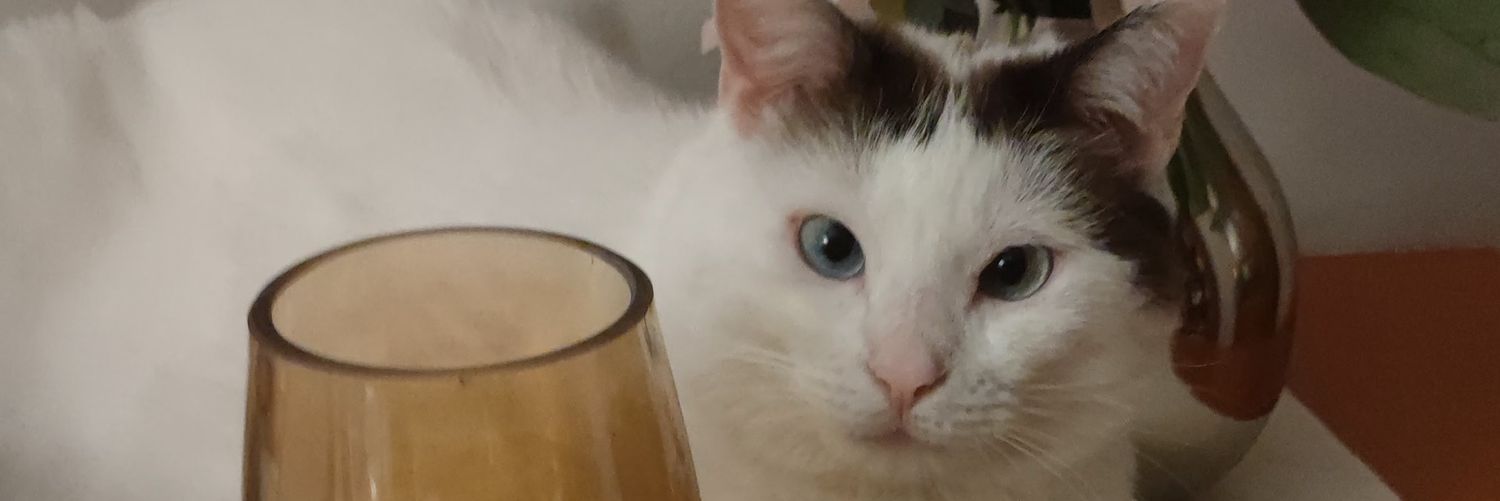 Loli a veces, no siempre banner