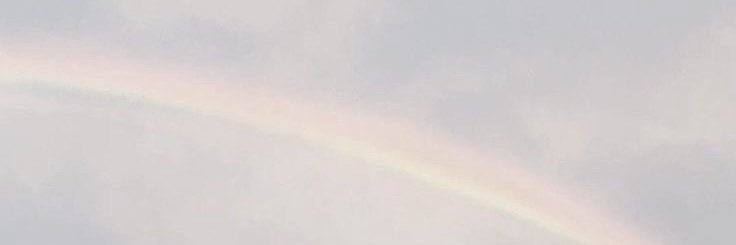 daphne ꕤ banner
