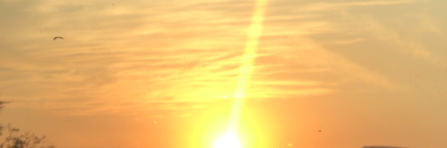 TzintlyRubio's profile banner image