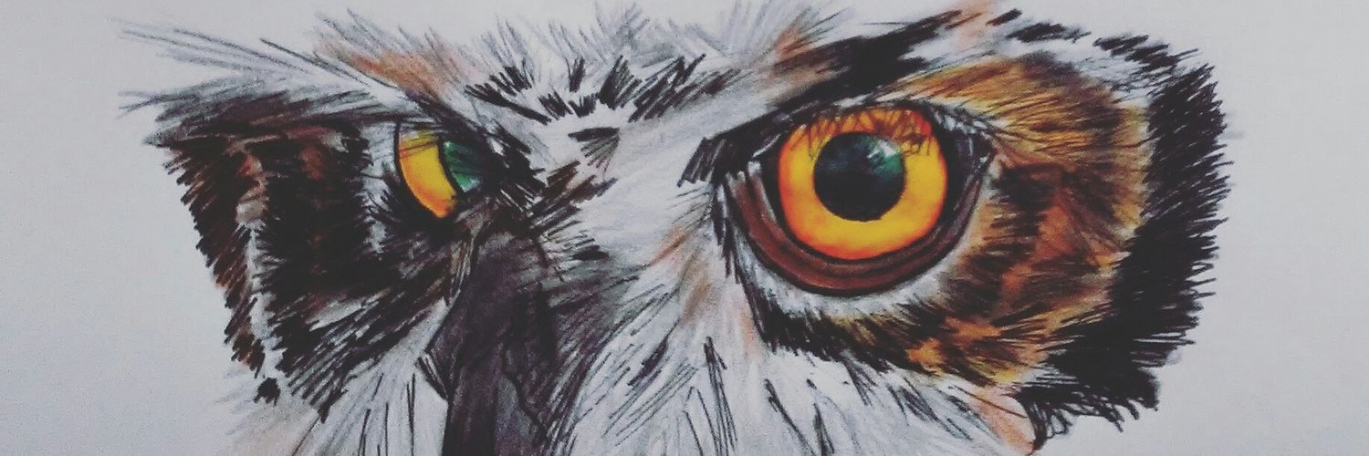 NTFBSV's profile banner image