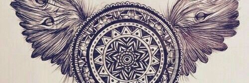 inass_____dz's profile banner image
