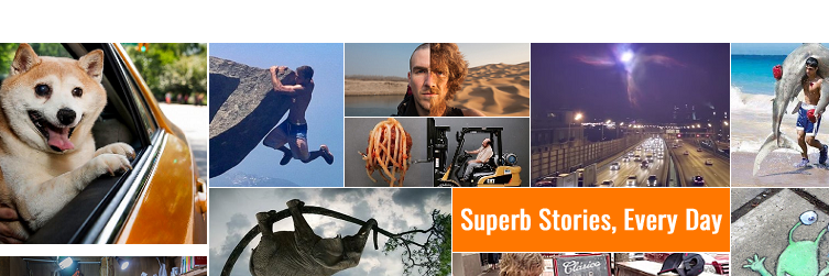 Buzz_Legend's profile banner image